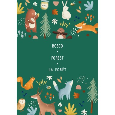 Magnetic box set. Il bosco