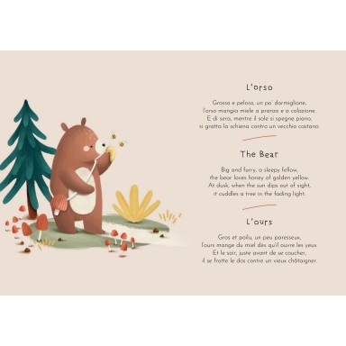 Magnetic box set. La Forêt