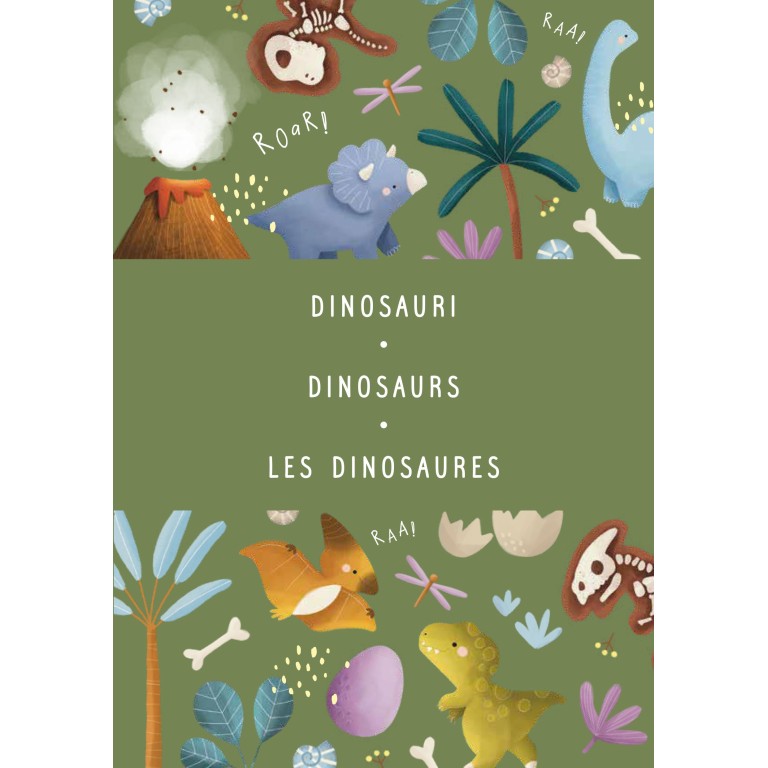 Magnetic box set. Les dinosaures