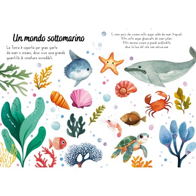 Magico puzzle ad acqua. Il mare