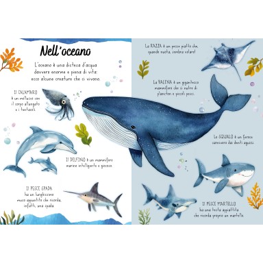 Magico puzzle ad acqua. Il mare