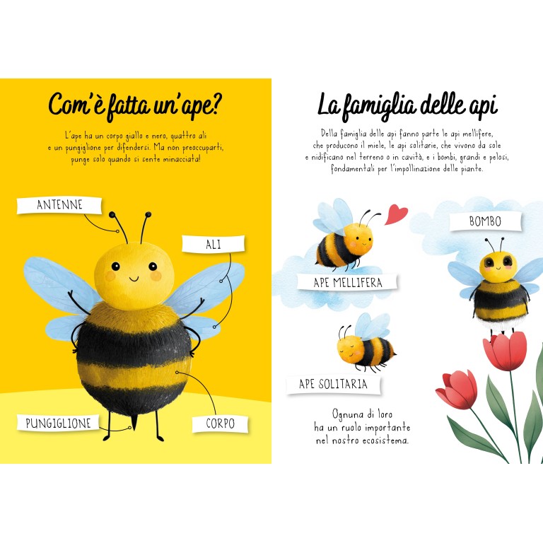 Magico puzzle ad acqua. Le api