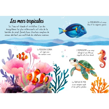 Puzzle magique à l'eau. La mer