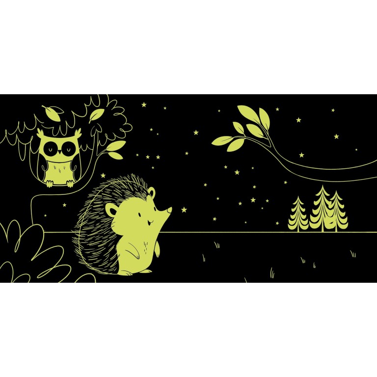 Jour et nuit. La forêt