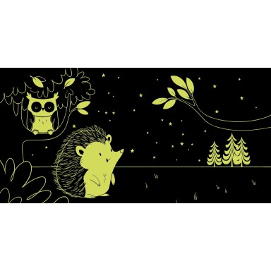 Jour et nuit. La forêt