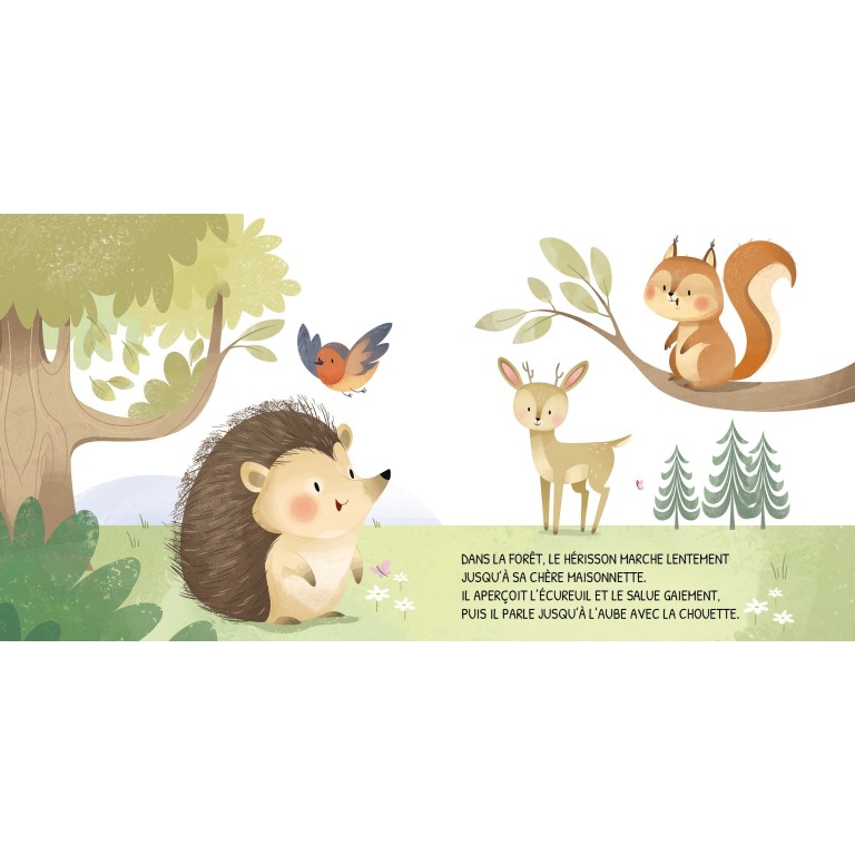 Jour et nuit. La forêt