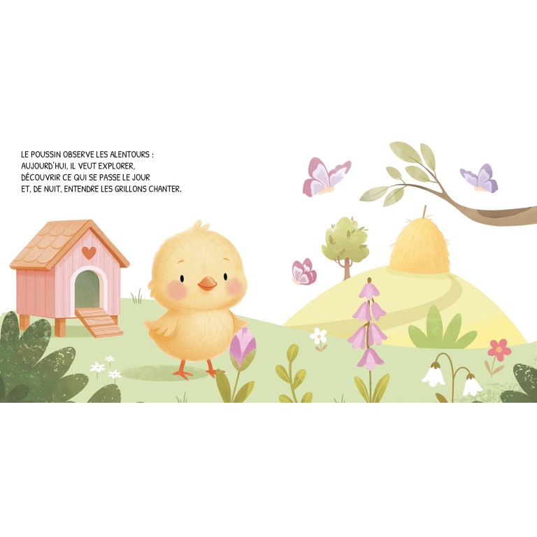 Jour et nuit. La ferme