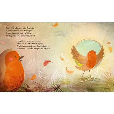Libri illustrati pocket. Primavera