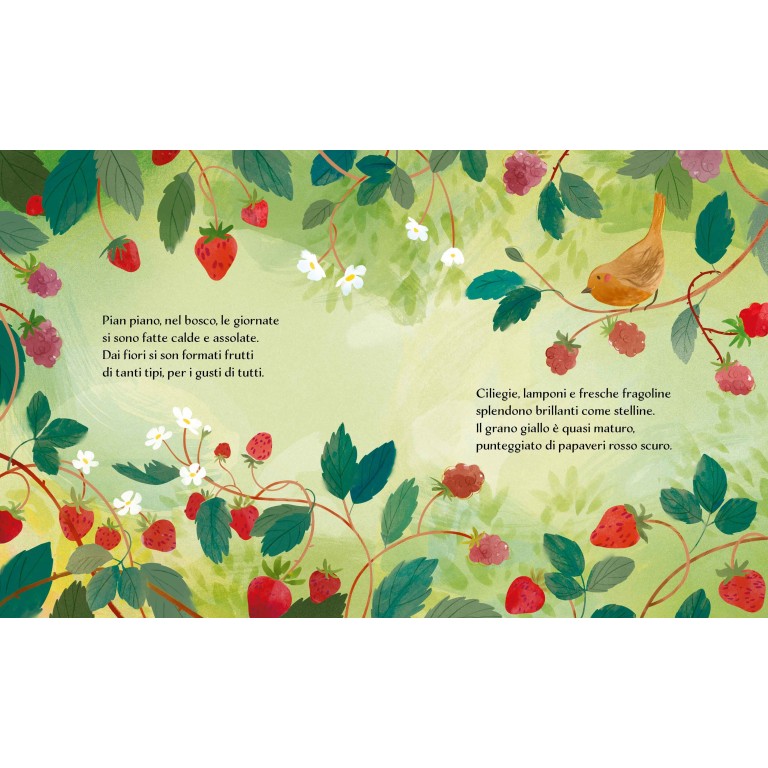 Libri illustrati pocket. Estate