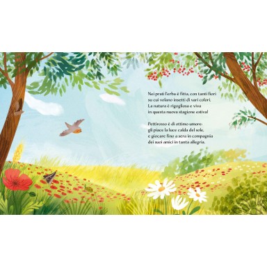 Libri illustrati pocket. Estate