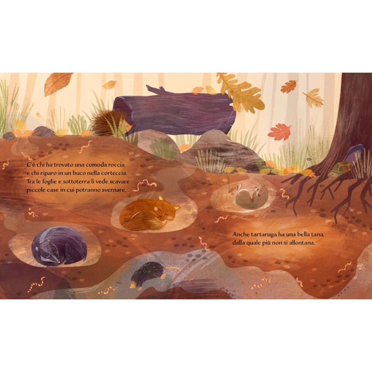 Libri illustrati pocket. Autunno