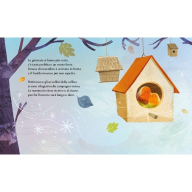 Libri illustrati pocket. Inverno