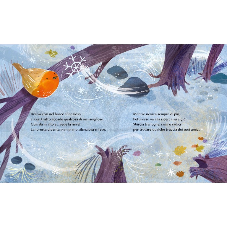 Libri illustrati pocket. Inverno