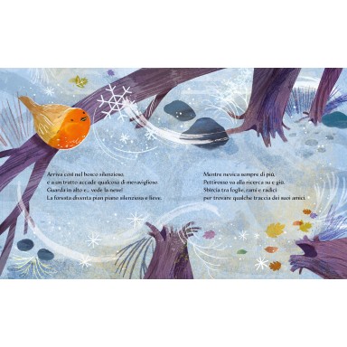Libri illustrati pocket. Inverno