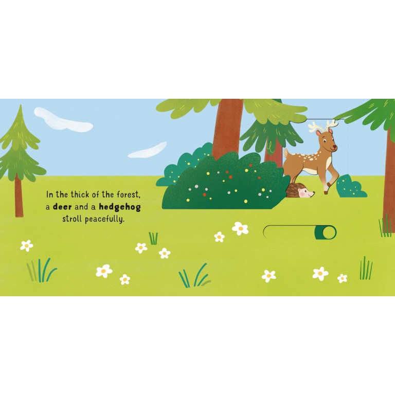 Slide and See. The forest
