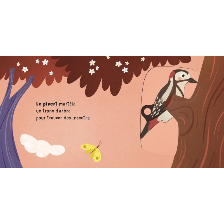 Glisse et découvre. La forêt