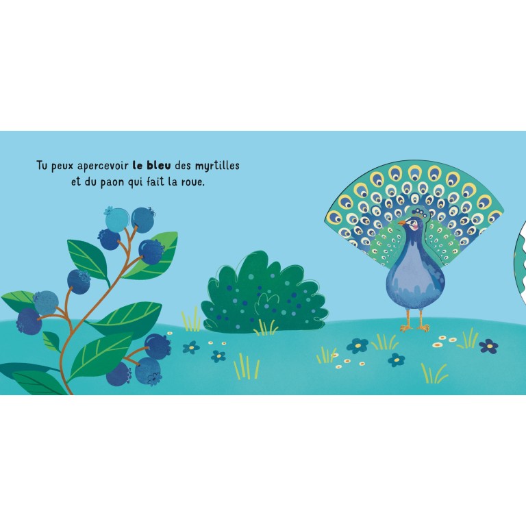 Glisse et découvre. Les couleurs