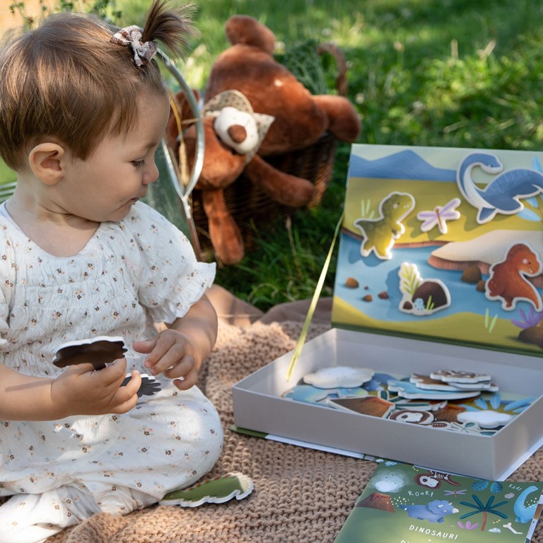 Magnetic box set. Dinosaurs