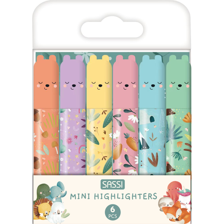 Set de mini surligneurs