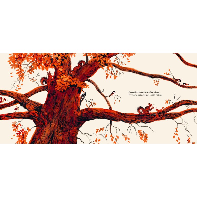 Tesori d'autunno