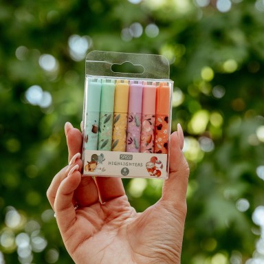 Mini Highlighter Set