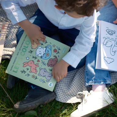 Let's Colour. Dinosauri