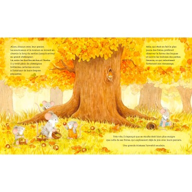 Automne câlin