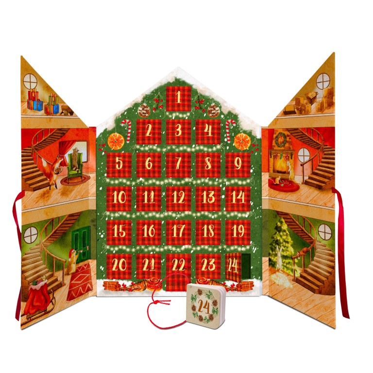 Calendario dell'Avvento. Aspettando il Natale