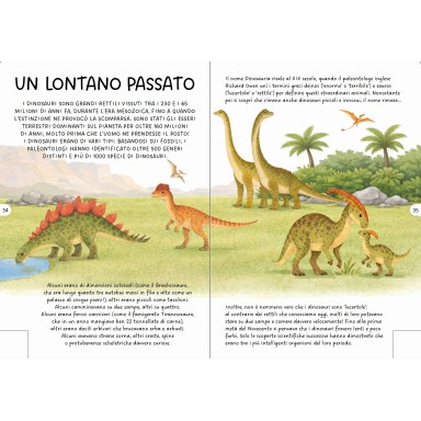 Puzzle Night and Day. Discover the World. - I dinosauri