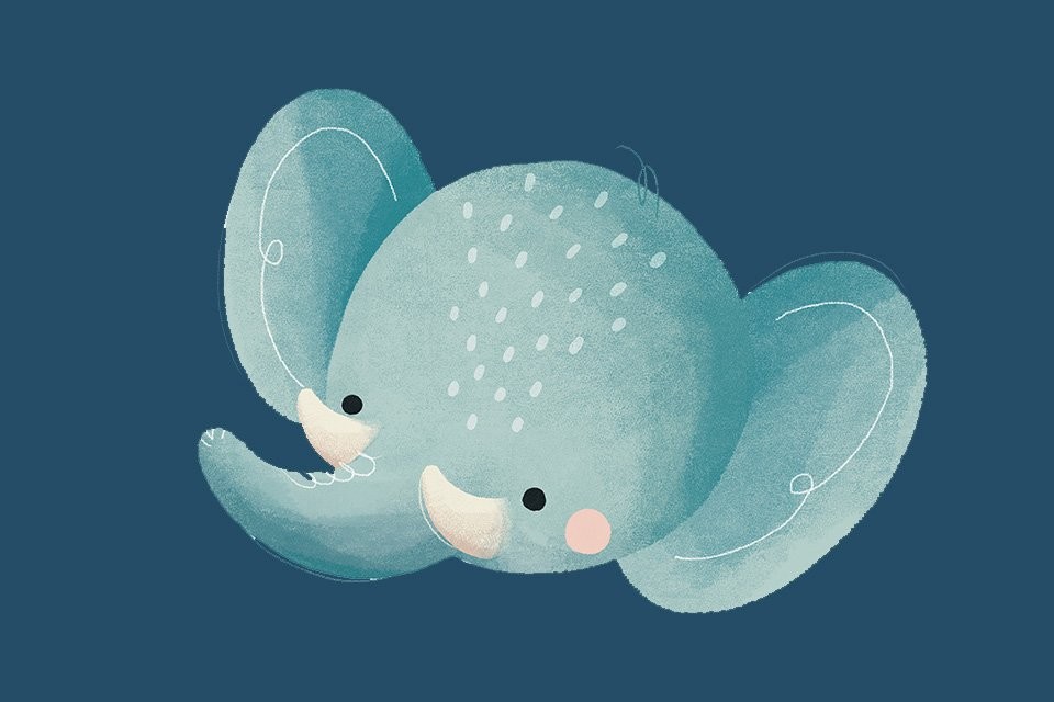 Chewy The Elephant | Sassi Junior