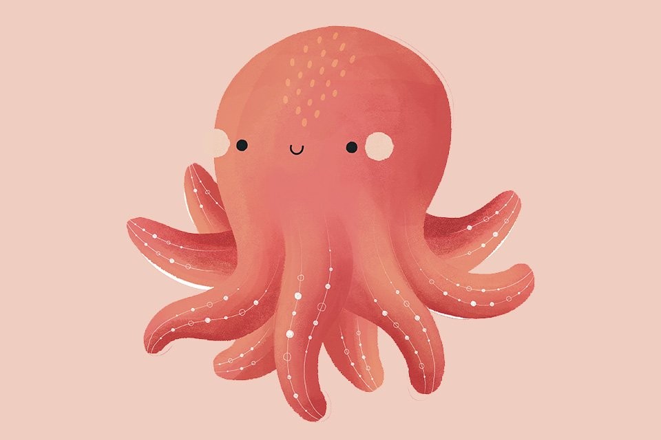 Slupry The Octupus | Sassi Junior