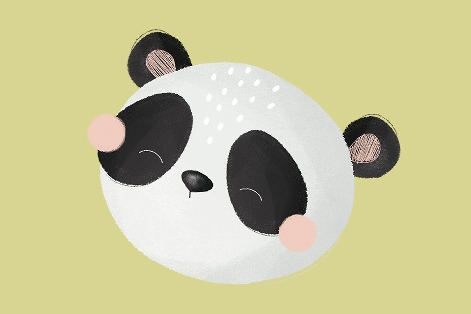 Panda Gnummy | Sassi Junior