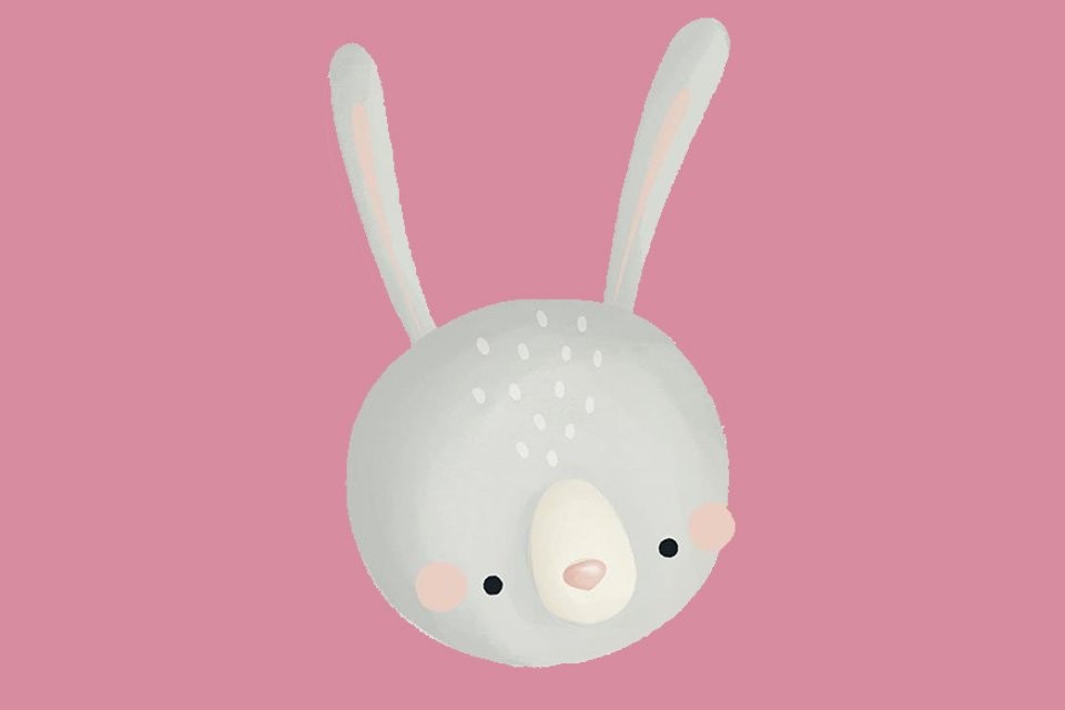 Fluffy la petite lapine